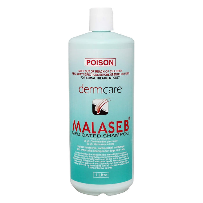 DERMCARE MALASEB MEDICATED SHAMPOO